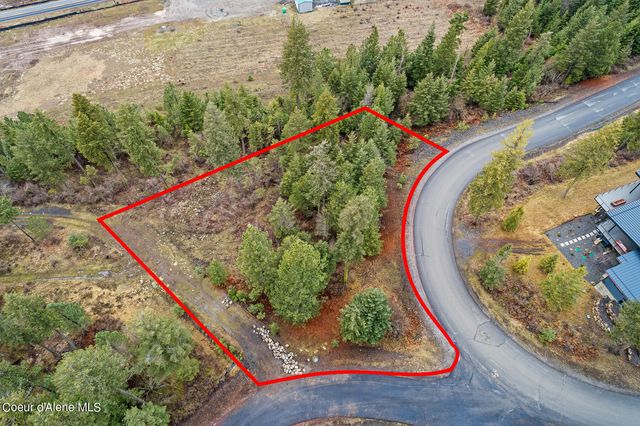 Lot 1 Jackleg Trail, Harrison, ID 83833