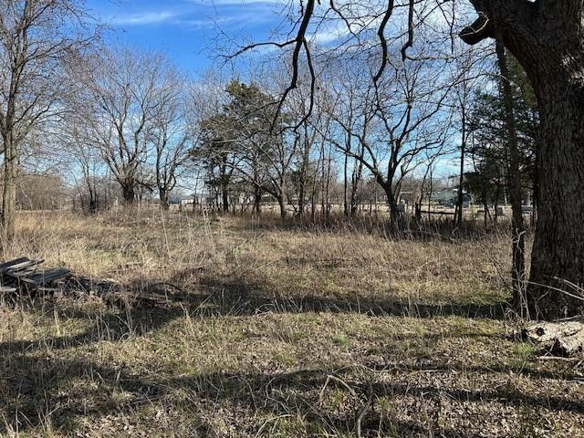 508 E Maple Street, Whitewright, TX 75491