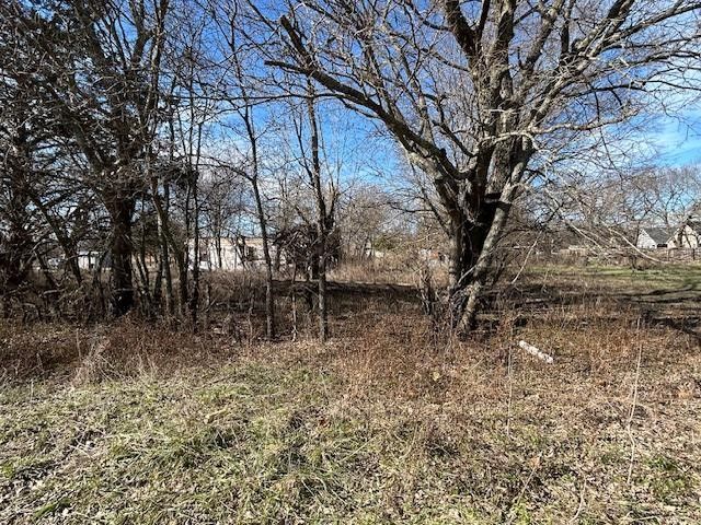 508 E Maple Street, Whitewright, TX 75491