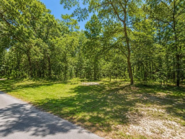 SEAGRAPE STREET, Homosassa, FL 34446