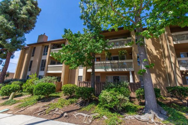 4600 Lamont 212, San Diego, CA 92109