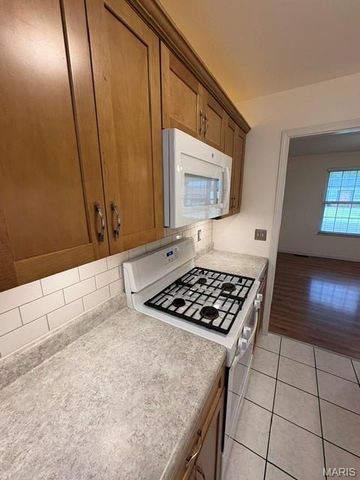 11 Sunnyfield Road, St Peters, MO 63376