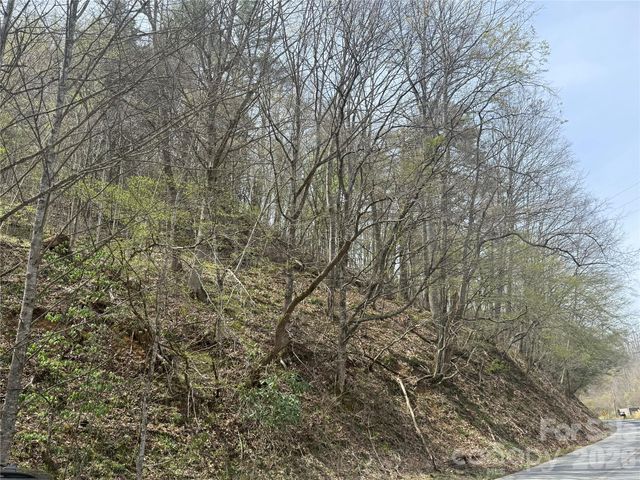 0 HORTONS CREEK Road, Burnsville, NC 28714