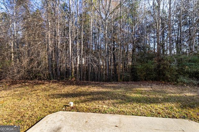 1129 Watercourse Way, Hampton, GA 30228