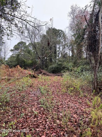 202 South Drive, Beaufort, NC 28516