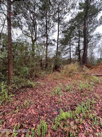 202 South Drive, Beaufort, NC 28516