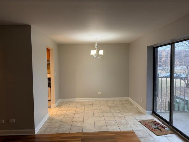 1463 Mercury Drive 203, Schaumburg, IL 60193