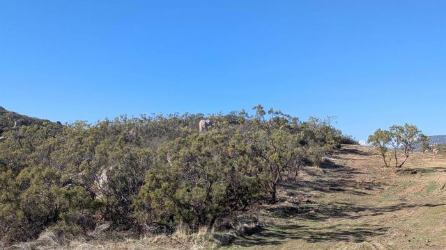 778 Crazy Horse Canyon, Aguanga, CA 92536