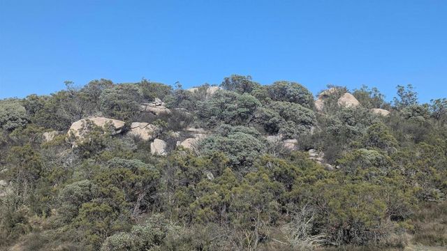778 Crazy Horse Canyon, Aguanga, CA 92536