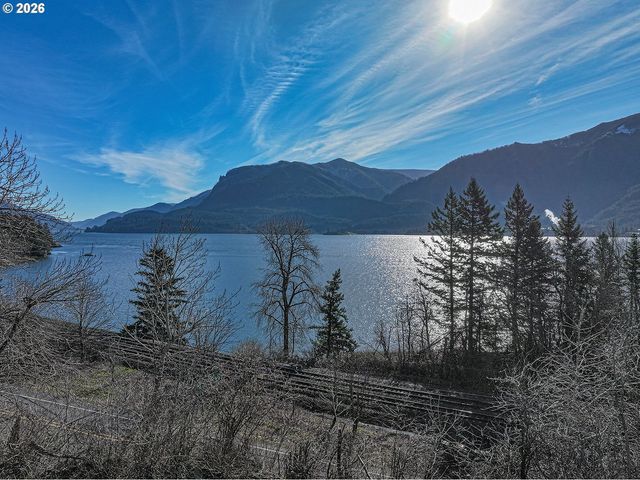 250 Ne LOWER BASSO Cir, Stevenson, WA 98648