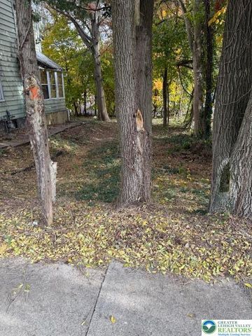 335 South 2nd Street, Bangor Boro, PA 18013