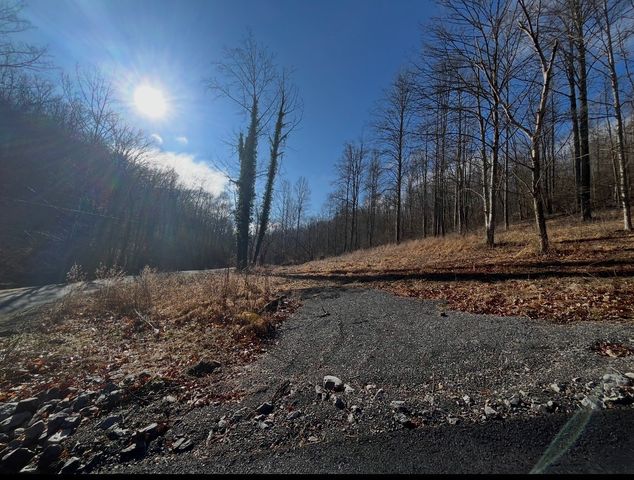 426 Rock House Hollow Road, Westmoreland, TN 37186
