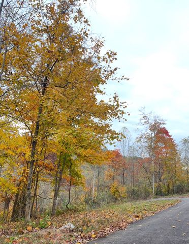 426 Rock House Hollow Road, Westmoreland, TN 37186
