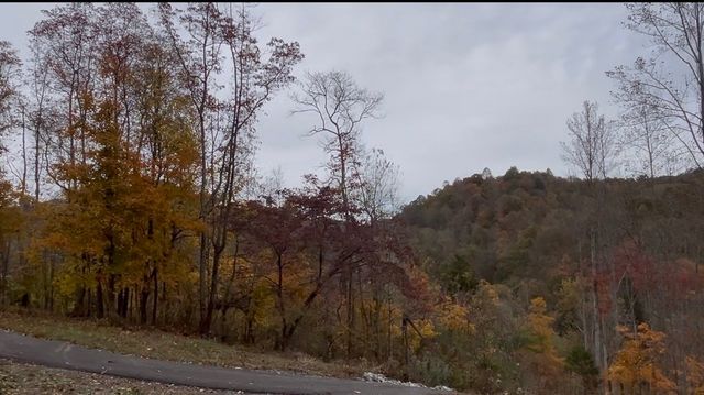 426 Rock House Hollow Road, Westmoreland, TN 37186