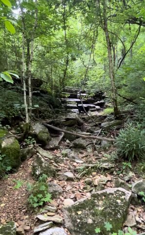 426 Rock House Hollow Road, Westmoreland, TN 37186