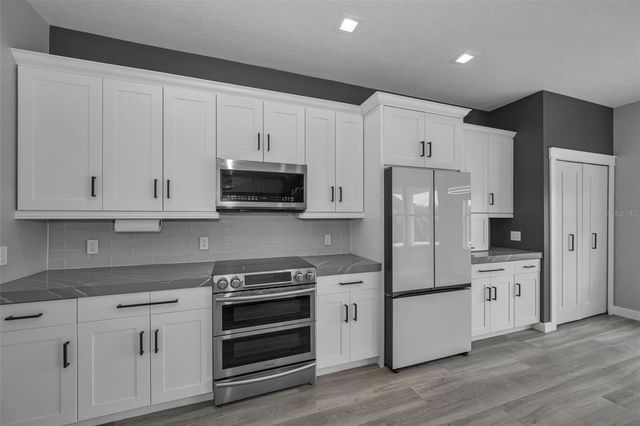 1345 HALAPA WAY, Trinity, FL 34655