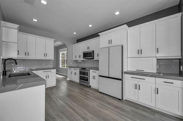 1345 HALAPA WAY, Trinity, FL 34655