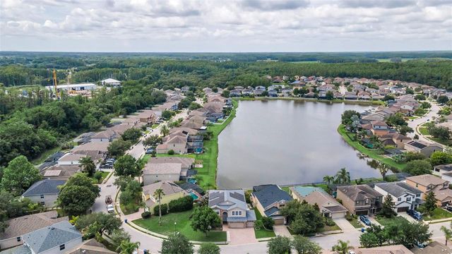 1345 HALAPA WAY, Trinity, FL 34655