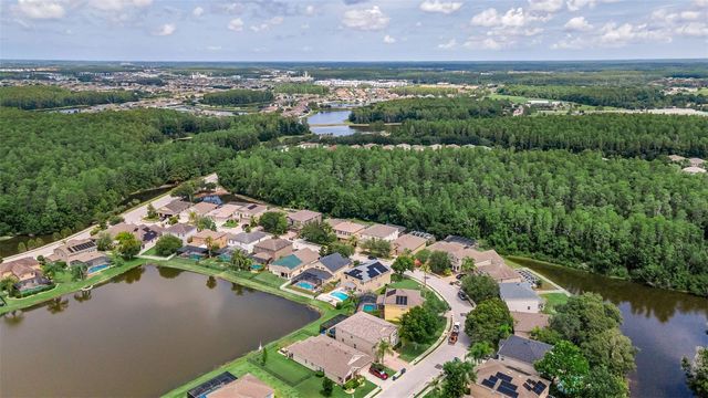 1345 HALAPA WAY, Trinity, FL 34655