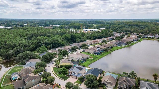 1345 HALAPA WAY, Trinity, FL 34655