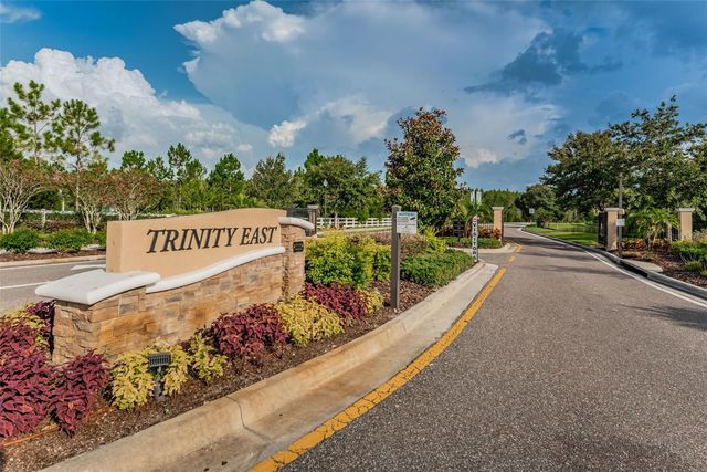 1345 HALAPA WAY, Trinity, FL 34655