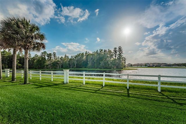 1345 HALAPA WAY, Trinity, FL 34655