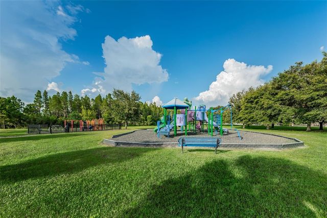 1345 HALAPA WAY, Trinity, FL 34655