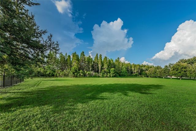 1345 HALAPA WAY, Trinity, FL 34655