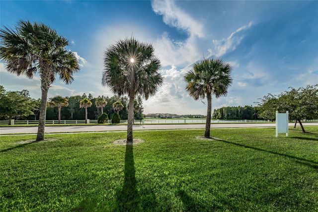 1345 HALAPA WAY, Trinity, FL 34655