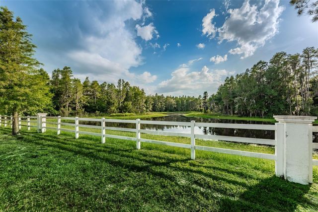 1345 HALAPA WAY, Trinity, FL 34655
