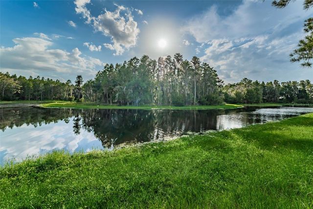 1345 HALAPA WAY, Trinity, FL 34655