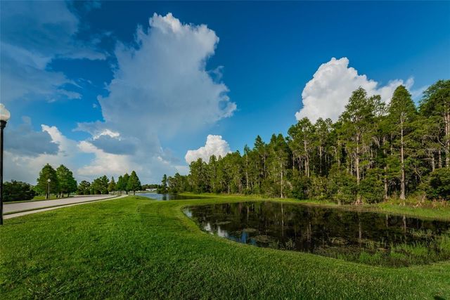 1345 HALAPA WAY, Trinity, FL 34655