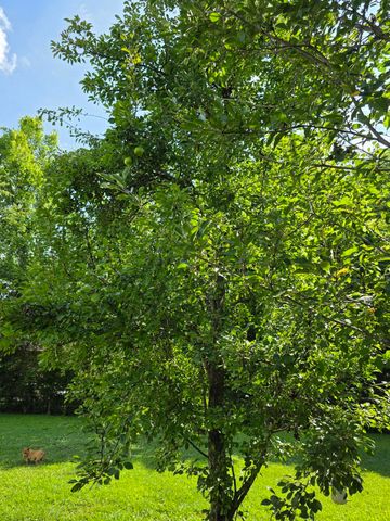 2011 Myrtle Avenue, Chattanooga, TN 37412