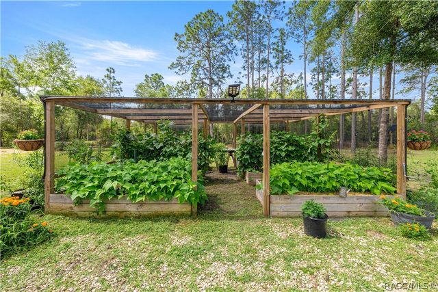 3372 W Webster Place, Citrus Springs, FL 34433