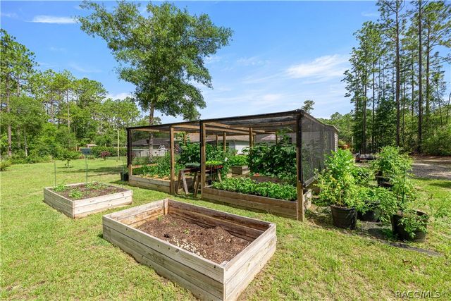 3372 W Webster Place, Citrus Springs, FL 34433