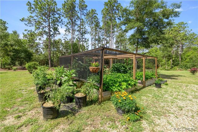 3372 W Webster Place, Citrus Springs, FL 34433