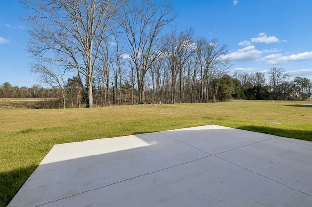 6208 Cedar Brooke Lane, Spring Hill, TN 37174
