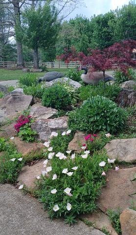 137 Lake Shore Blvd, Coalmont, TN 37313