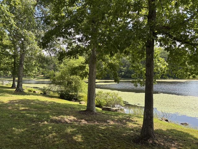 137 Lake Shore Blvd, Coalmont, TN 37313