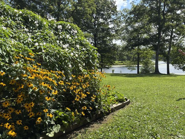 137 Lake Shore Blvd, Coalmont, TN 37313