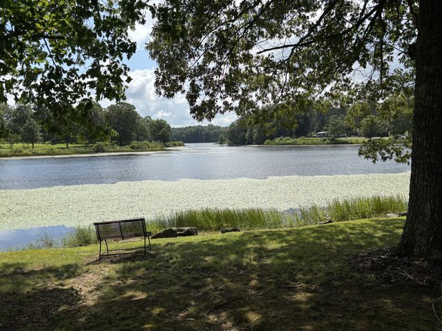 137 Lake Shore Blvd, Coalmont, TN 37313