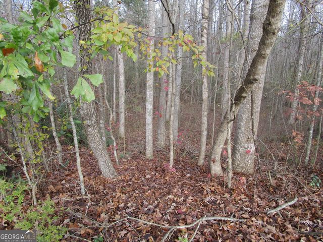 135 Four Oaks Drive, Griffin, GA 30224