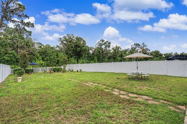 13411 WILLOW BLUESTAR LOOP, Riverview, FL 33579