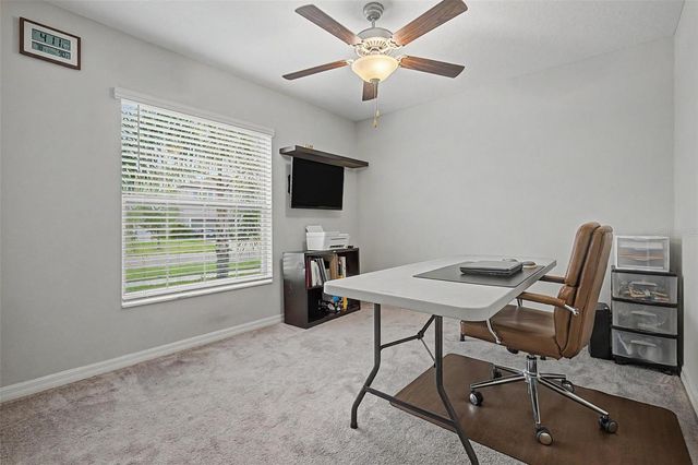 13411 WILLOW BLUESTAR LOOP, Riverview, FL 33579