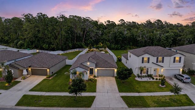13411 WILLOW BLUESTAR LOOP, Riverview, FL 33579