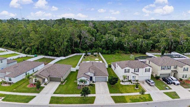 13411 WILLOW BLUESTAR LOOP, Riverview, FL 33579