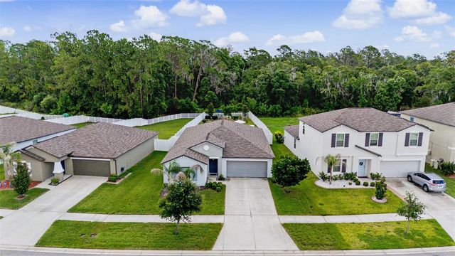 13411 WILLOW BLUESTAR LOOP, Riverview, FL 33579
