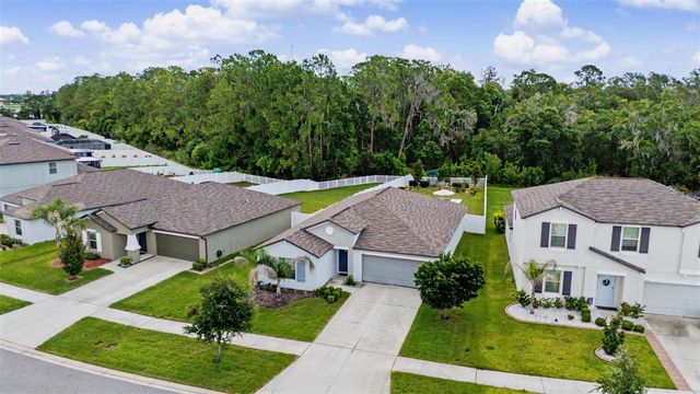 13411 WILLOW BLUESTAR LOOP, Riverview, FL 33579