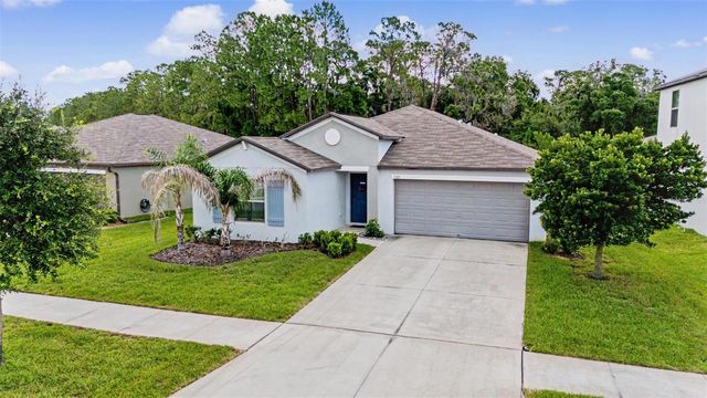 13411 WILLOW BLUESTAR LOOP, Riverview, FL 33579