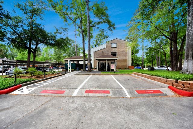 3500 Tangle Brush Drive 8, Spring, TX 77381